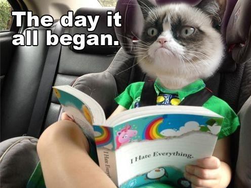 "The Grumpy" THE DAY IT ALL BEGAN "I HATE EVERYTHING"