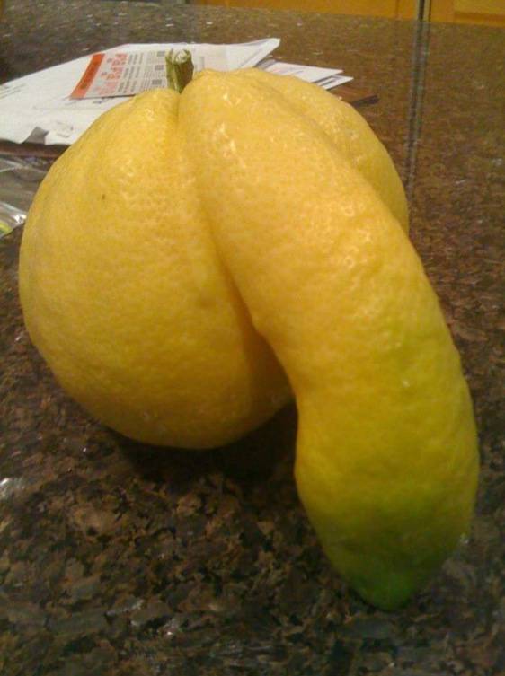 Lemon Penis