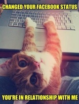 Changed your FB status ....