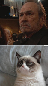 Tommy Lee Jones is Grumpy Cat