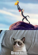 Grumpy Cat Drops Lion King Simba