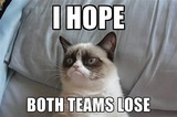 Grumpy Cat Super Bowl