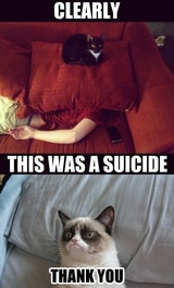 Grumpy Cat Criminal