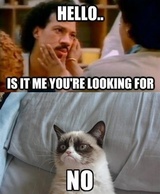 Grumpy Cat Hello Lionel Ritchie