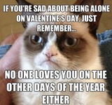 Grumpy Cat Forever Alone