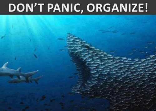 Shark Eat Shark - Don't Panic Organize! - Funny - Faxo