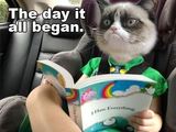 The Grumpy THE DAY IT ALL BEGAN I HATE EVERYTHING