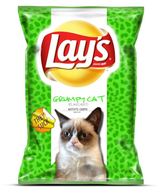 The Grumpy Cat Cover LAYS Chips
