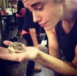 Justin Bieber's Hamster Dead