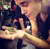 Justin Bieber's Hamster Dead