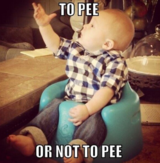 TO PEE OR NOT TO PEE Shakespeare