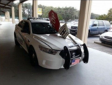 Police Car Hit The Stop Sign