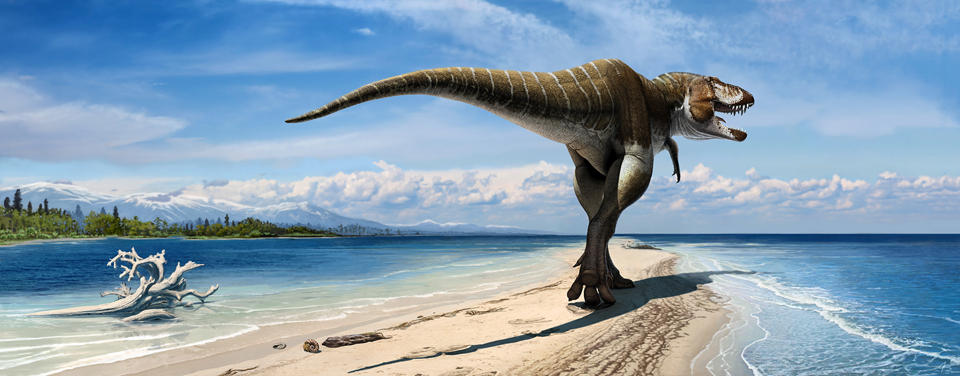 King of Gore: New Dinosaur Discovered