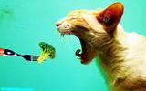 That's The Face You Make While Eating Green Veggies