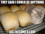 I Hope He Did Not Get Baked Like One