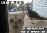 Help The Cat Needs Help