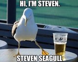 Go Home Seagull You Are Drunk