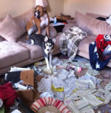 Thank God Your Home