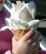 Cone Flower Ice Cream