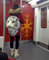 White Tiger In a Subway
