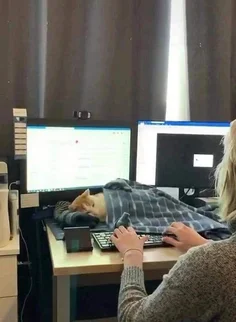 Sleeping On The Job