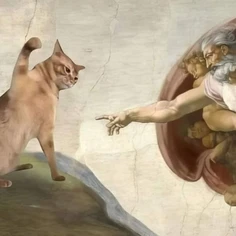 The Creation Of Adam's Cat