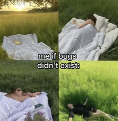 Me If Bugs Didn't Exist 😂