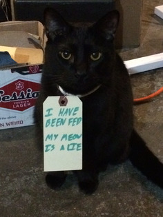 Don't Believe His Lies!
