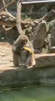 Eating A Banana - Fail