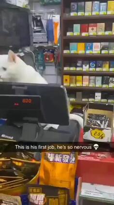 This Is His First Job, He's So Nervous