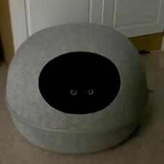 You Can't See Me