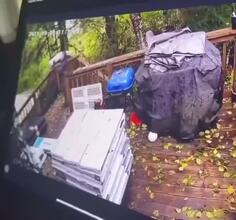 The Shingle That Broke The Deck's Back