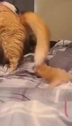 Mom Introduces Baby To Best Friend