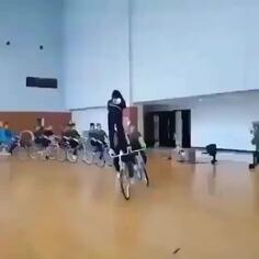 Going For A Bike Ride and a Walk!