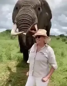 Elephant Takes Hat... Quite the Jokester!