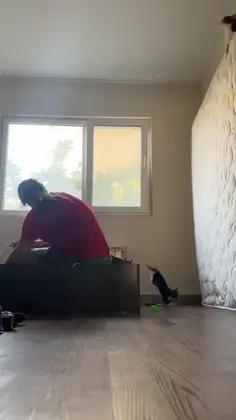Cat vs Mattress