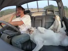 Just Driving With My Besties...