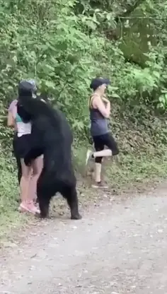 How To Handle A Bear Encounter... Remain Calm!