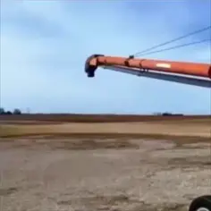 Raccoon Infinite Loop