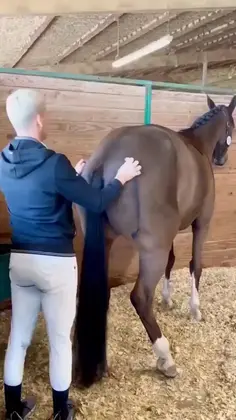 You Scratch My Back...