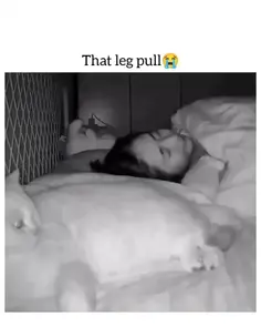 That Cat Leg Pull 😭😭😭