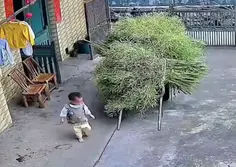 Toddler Helps Mommy 🤣