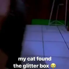 Glitter Box 😭