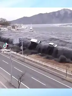 Terrible Tsunami Disaster