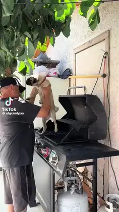 They Are Eating Dogs And Cats!