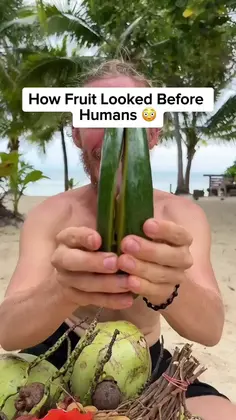 Fruit: How It Started vs How It's Going 🤯