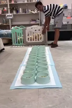 Litter Of Cute Puppies World Record