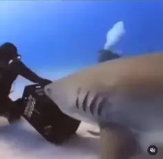 People vs Fish