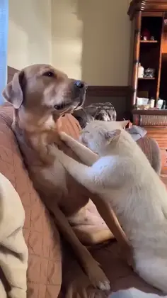 Making Biscuits On My Bestie 😭