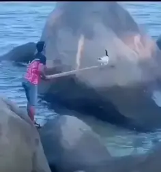 Mom First Checks Her Baby Is Ok And Then... 😭